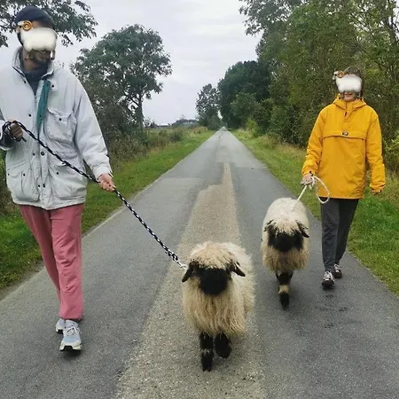 Ferienwohnung-rungholt-edomsharder-hof-nordstrand *