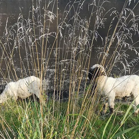 Ferienwohnung-rungholt-edomsharder-hof-nordstrand * נורדסטרנד
